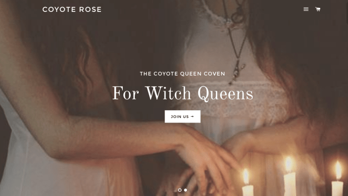 screen-shot-2017-01-03-at-3-58-02-pm